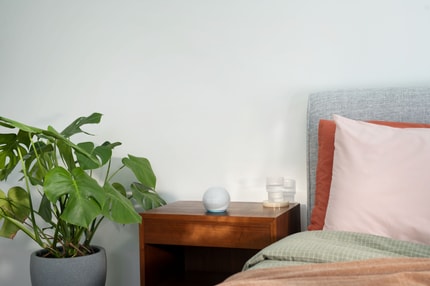 Abbildung Klein, aber oho!