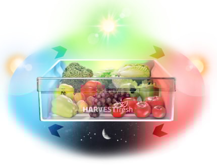 Abbildung HarvestFresh