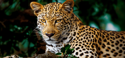 Abbildung Highlights