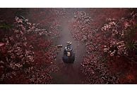 Abbildung Eine visionäre Horror-Erzählung von Ryukishi07