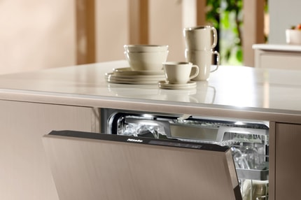 Abbildung Spüloption Quick