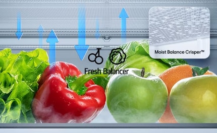 Abbildung FRESHBalancer®