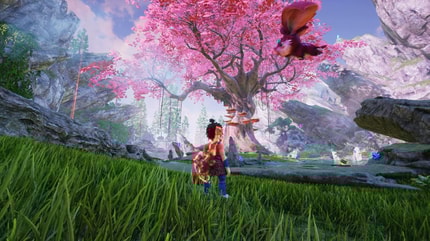 Abbildung Produktbeschreibung