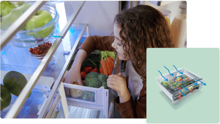 Abbildung EverFresh+®