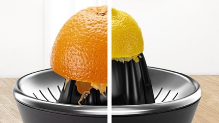 Abbildung Spezieller Presskegel für große und kleine Früchte.