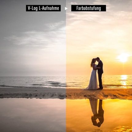Abbildung Vorinstalliertes V-Log L