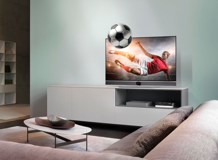 Abbildung Metz AURUS silverline 48“