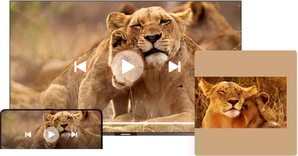 Abbildung Google Chromecast