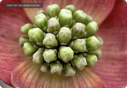 Abbildung Atemberaubend