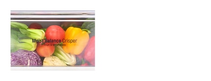 Abbildung Moist Balance Crisper™