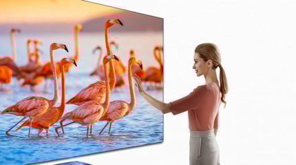 Abbildung Pure Colour