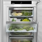 RBbsc 5250-20 BioFresh blacksteel Kühlschrank ohne - bei expert kaufen