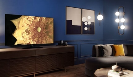 Abbildung So echt wie das Leben durch exzellente OLED-Farbwiedergabe