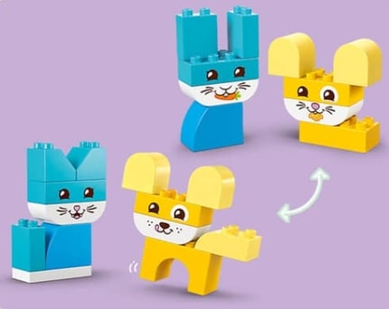 Abbildung Haustierparade