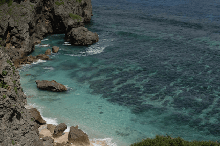 Abbildung Hervorragende Leistung über den gesamten Zoombereich