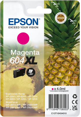 Abbildung Epson 604 Ananas-Tinten