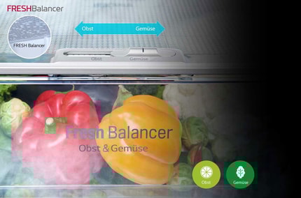 Abbildung FRESH Balancer