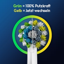 Abbildung Nutzungsanzeige dank Indikator-Borsten