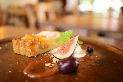 Abbildung Näher ran ans Motiv dank deutlich kürzerer Naheinstellgrenze