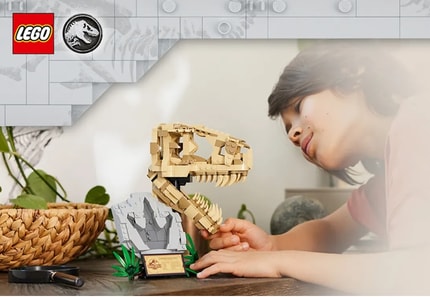 Abbildung Imposanter T.Rex-Schädel zum Ausstellen