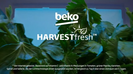 Abbildung HarvestFresh