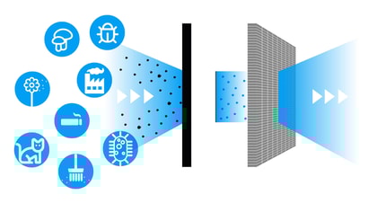 Abbildung Highlights