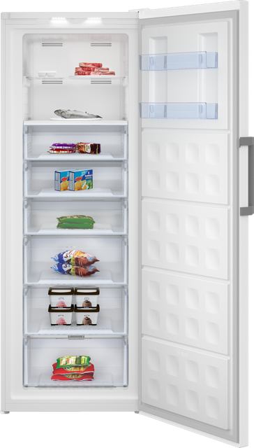 BG490EXGS Gefrierschrank