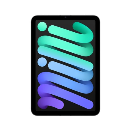 iPad mini Wi-Fi + Cellular 512GB - Space Grau