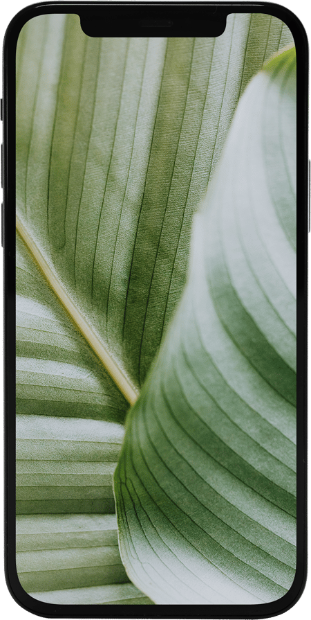 iPhone 12 Pro 256GB Premium Refurbished Smartphone