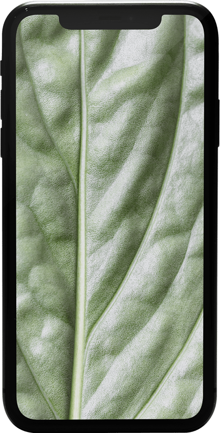 iPhone 11 128GB Black Premium Refurbished Smartphone