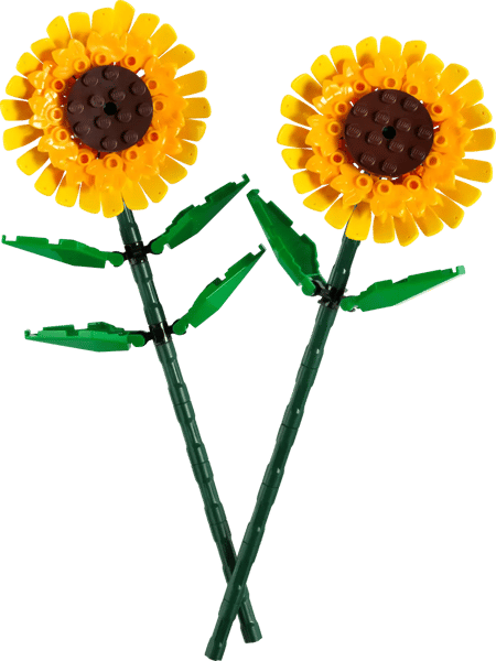 Sonnenblumen