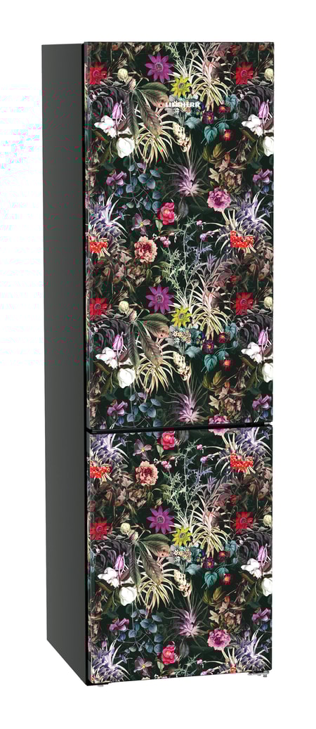 CBNdmy 5723 Madeira Kühl-Gefrier-Kombination