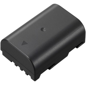 DMW-BLF19E Akku