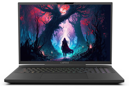Highend Gaming I81-504, Schwarz, 17,3 Zoll, WQXGA, Intel i9-14900HX, 32 GB, 1 TB M.2 SSD, RTX 4080