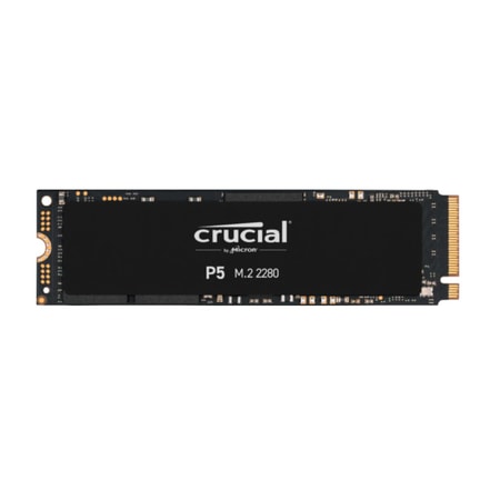 SSD 500GB P5 CT500P5SS PCIe M.2 Interne SSD-Festplatte