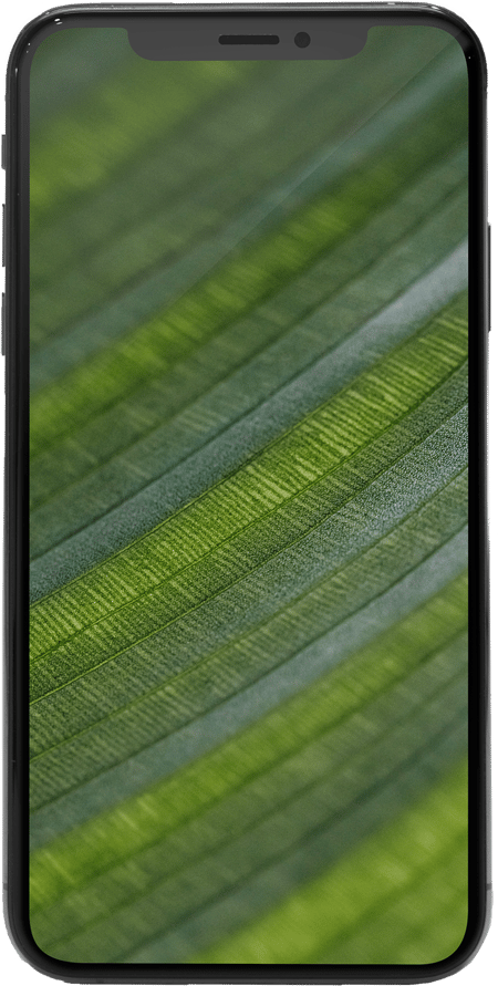 iPhone XS 64GB Spacegrau Premium Refurbished