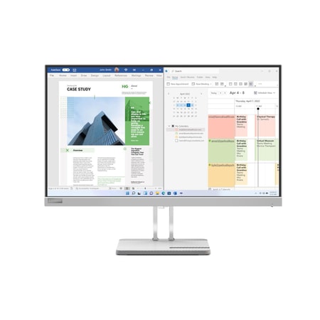 Monitor L25e-40, 	Lichtgrau, 24.5 Zoll, Full-HD, 75 Hz, 4 ms