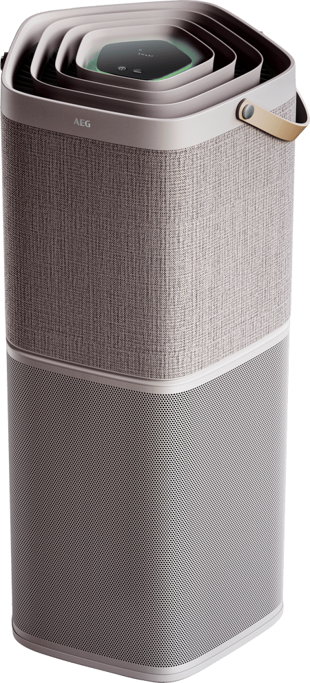 Luftreiniger AX91-604GY