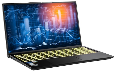 Power Starter I71-899, Schwarz, 17,3 Zoll, Full HD, Intel i7-1260P, 32GB, 2TB M.2 SSD, Intel Iris Xe