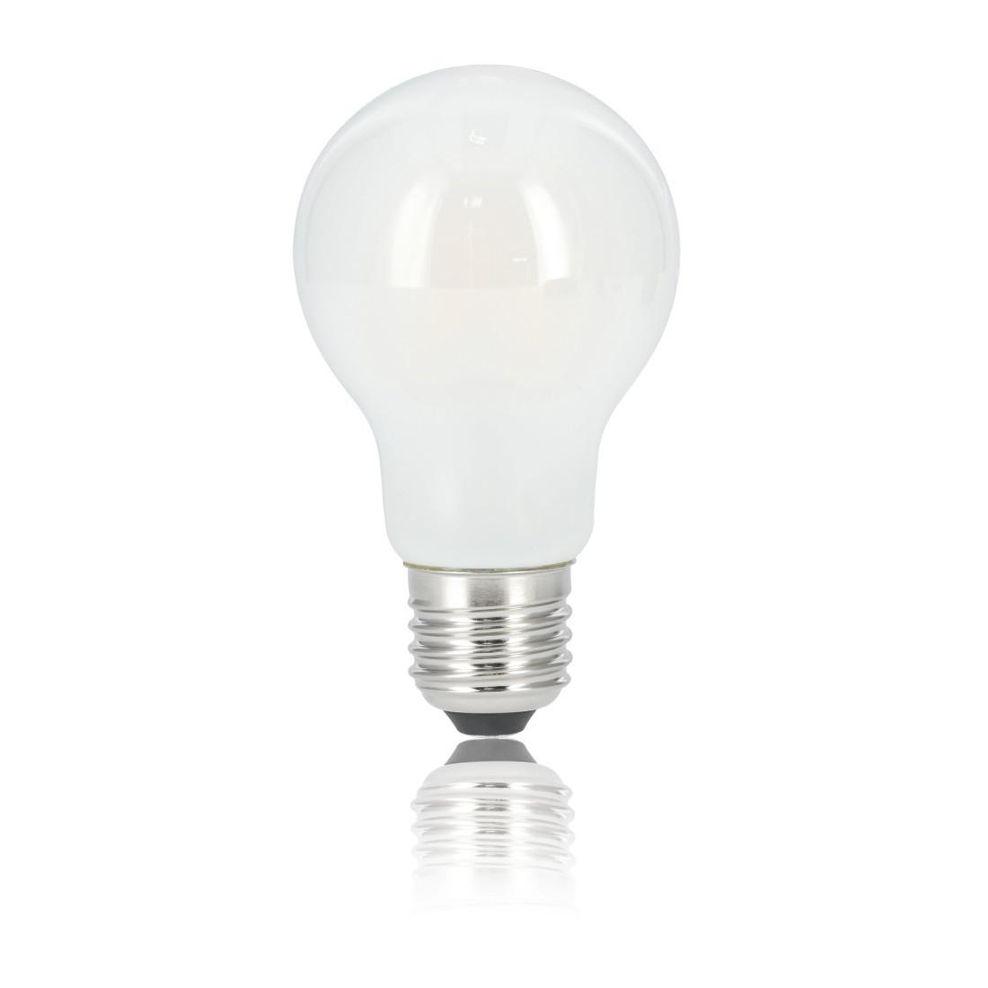 LED-Filament, E27, 806lm ersetzt 60W, Glühlampe, Matt, Warmweiß, 2 Stück (00112704)