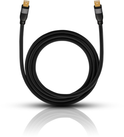 Oehlbach Displayportkabel DP-Mini Impact Plus M2 1,0 m (D1C9253)