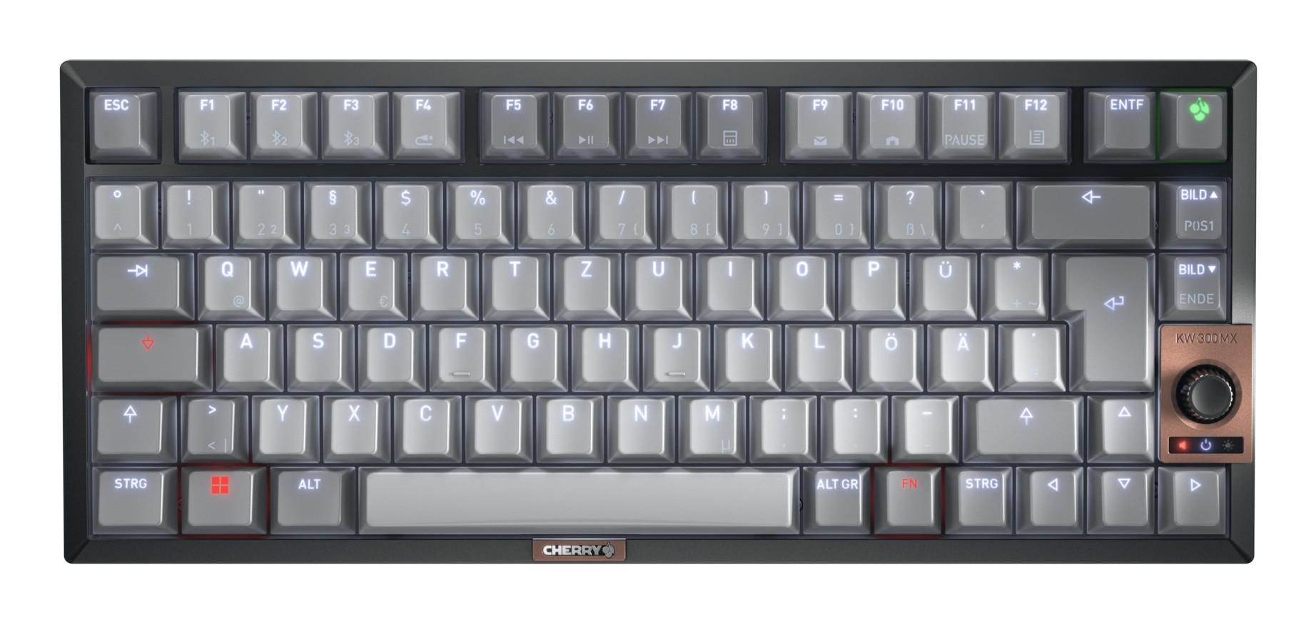 KW 300 MX Gaming-Tastatur, Schwarz