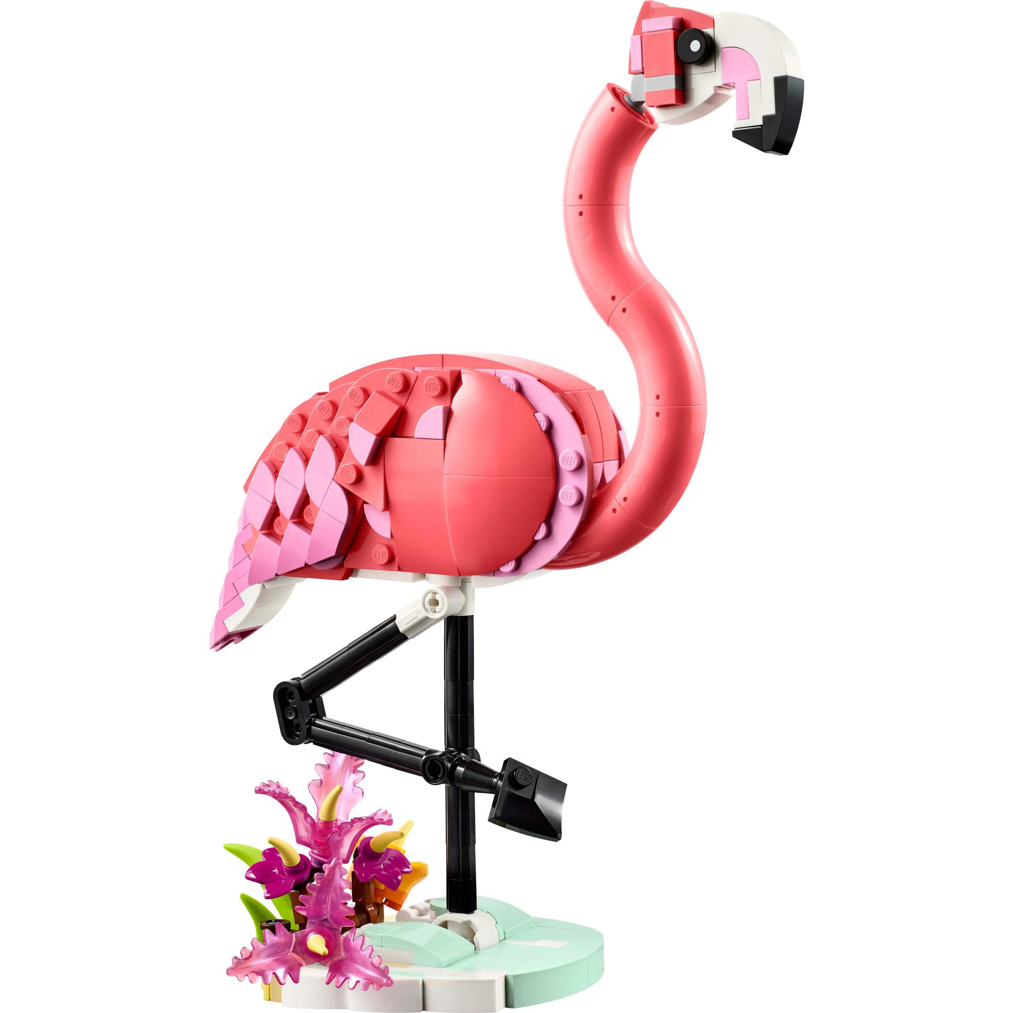Wilde Tiere: Rosa Flamingo