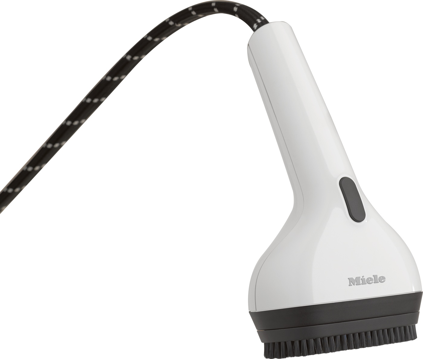 ST 30 Steamer