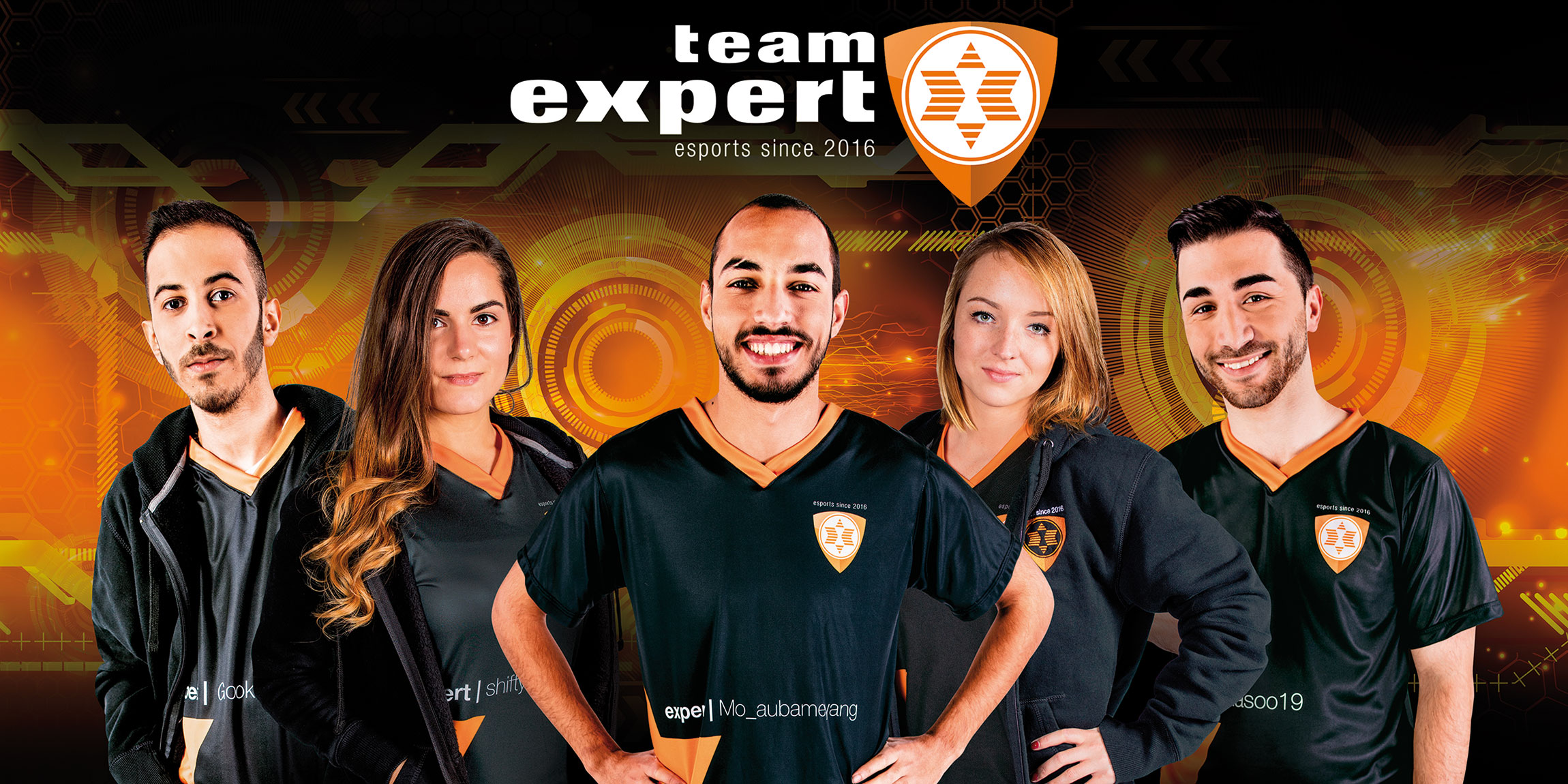 expert_Team_expert