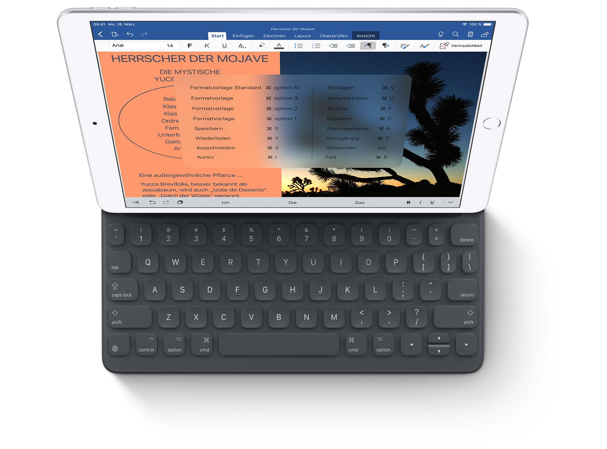 iPad-Air - Smart Keyboard iPad-Air - Smart Keyboard