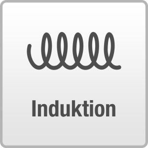 Induktion