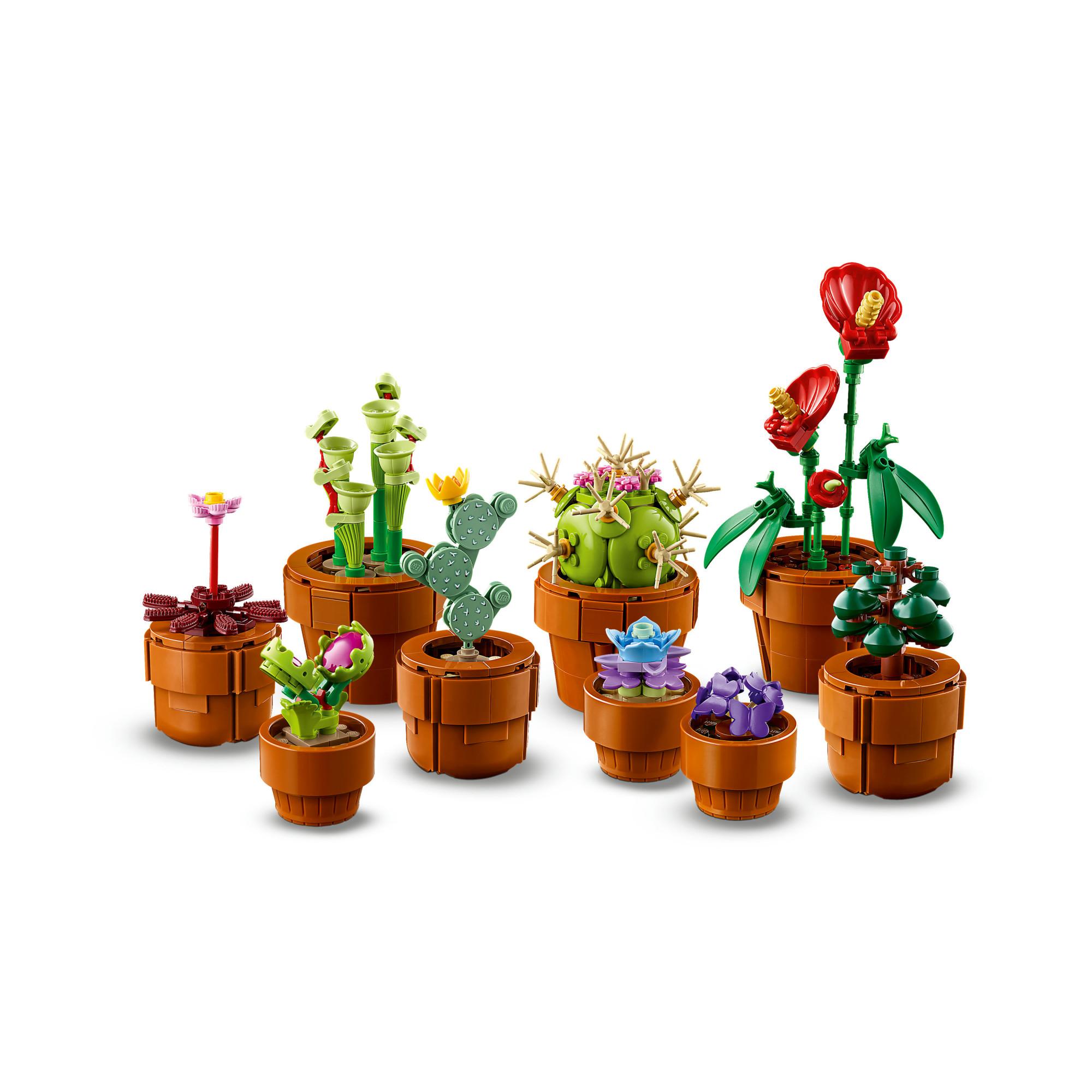 Mini Pflanzen