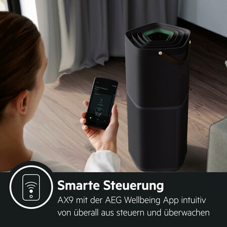 Luftreiniger AX91-604DG