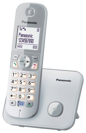 KX-TG6811GS Perlsilber Schnurloses Telefon